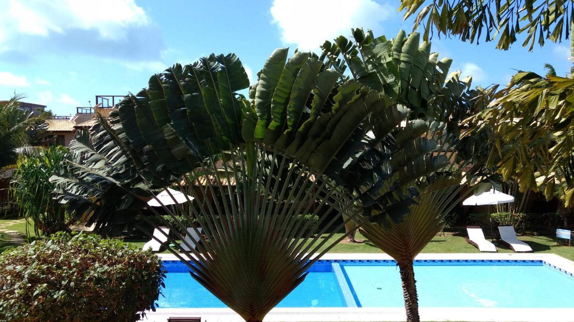 Unidades Vilas Triplex No Pipa Beleza Praia de Pipa Exteriér fotografie